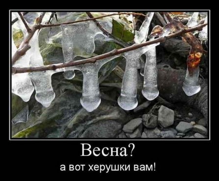 Алюминий, сталь, титан или карбон: что выбрать?