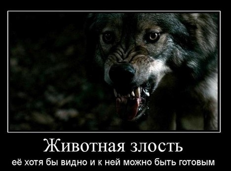 Кто выпускает канат?