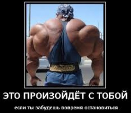 Программа тренировок для начинающих
