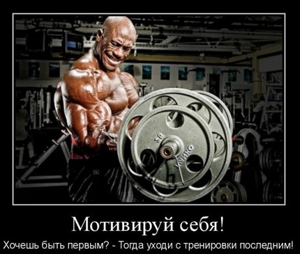 Запрет на дайвинг с акулами.